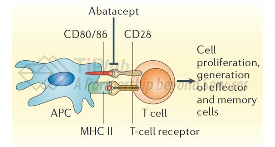 参见：Moreland L, et al. Nature Reviews Drug Discovery 2006 Mar;5.