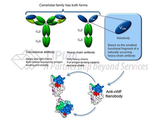 Bartunek J, et al. Journal of cardiovascular translational research. 2013, 6(3).