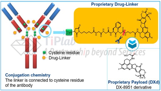 参见：AstraZeneca官网