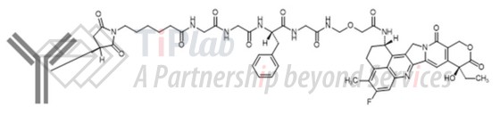 参见：Yonesaka K，Oncogene. 2019