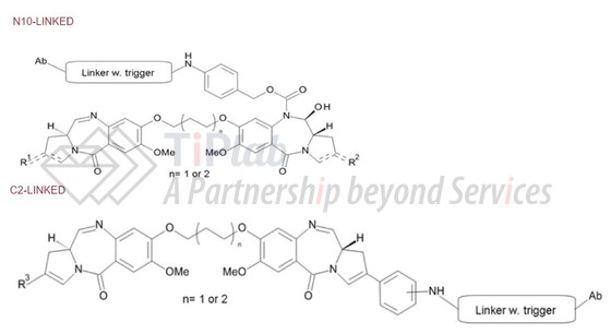 参见：Spirogen官网