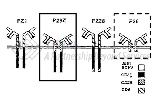 US7446190B2