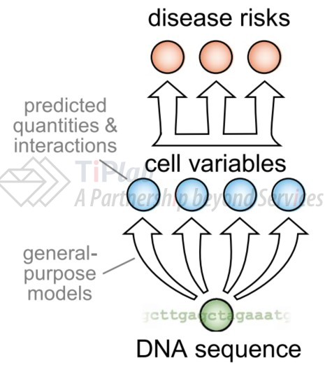 参见：Leung et al. 2016