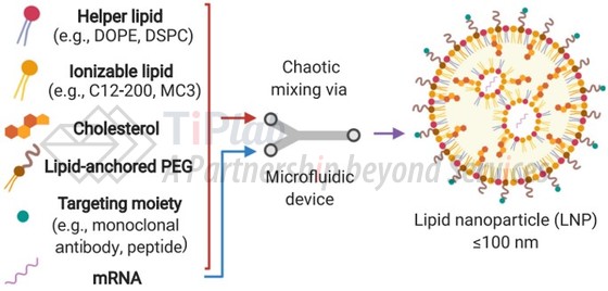 LNP制备（DOI：org/10.1016/j.molmed.2021.03.003）