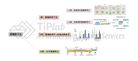 重编程方法分类示意图（图中图示截取自DOI: 10.1038/nrg2937; DOI: 10.1016/j.stem.2017.12.001; DOI: 10.1038/nbt1418; DOI: 10.1038/nbt.1535; DOI: 10.1126/science.1239278）