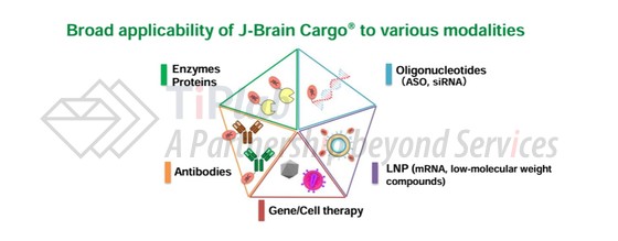J-Brain Cargo可以应用于多种治疗方式,参见:JCR Pharmaceuticals官网