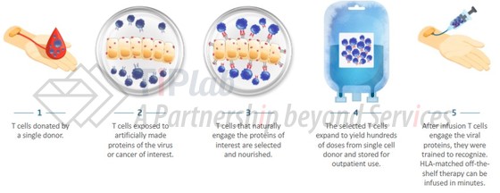 ExacTcell — Tevogen 的 T 细胞疗法