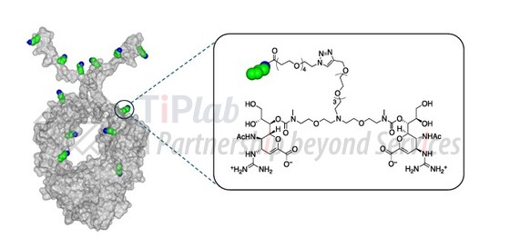 CD388的结构,参见:https://doi.org/10.1038/s41564-025-01955-3