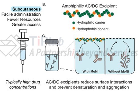 参见：https://doi.org/10.1002/adtp.202200102