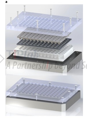 用于高通量检测的肠道组织培养系统接口设计的 96 孔板装置示意图。（参见：https://doi.org/10.1038/s41551-020-0545-6）