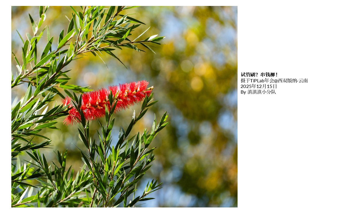 TiPLab2025年会-云南西双版纳