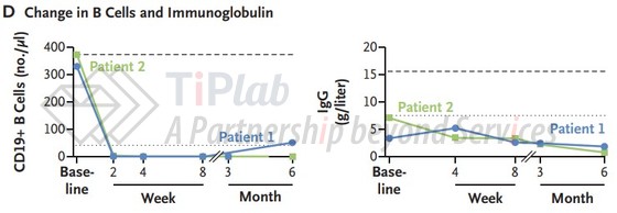 CM336治疗前后CD19+ B细胞计数（左图）和血清IgG水平（右图）的变化，参见：DOI: 10.1056/NEJMc2502297