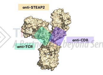 参见：Drug hunter