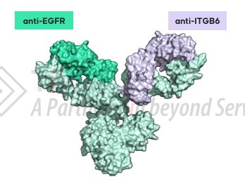 参见：Drug hunter