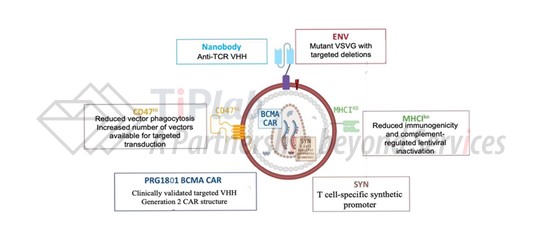 图3 EsoBiotec的ENaBL平台 (源自doi: 10.1016/S0140-6736(25)01030-X)